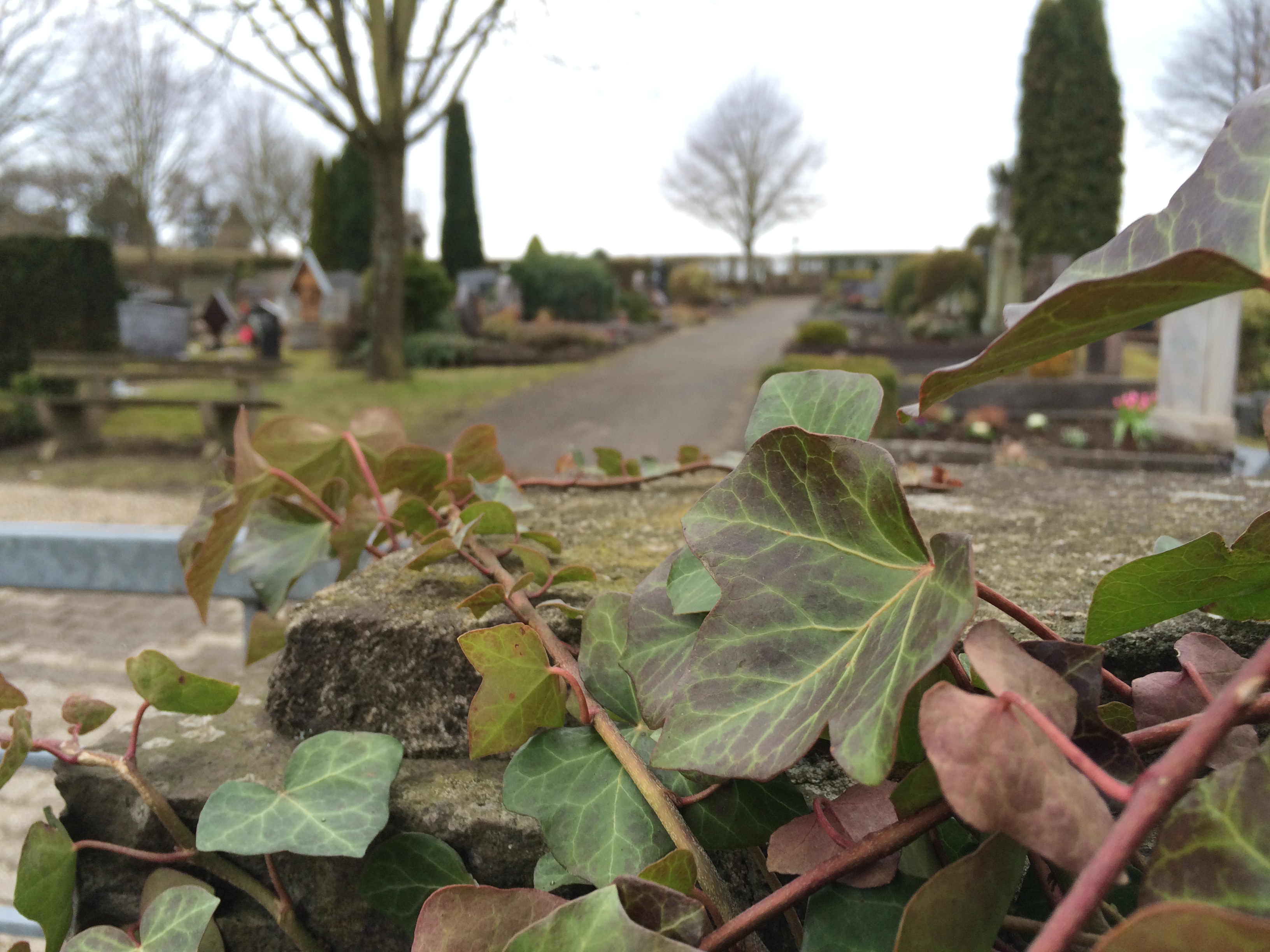 Den Friedhof im Dorf lassen